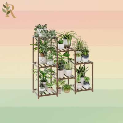 A wooden plant stand with several plants.