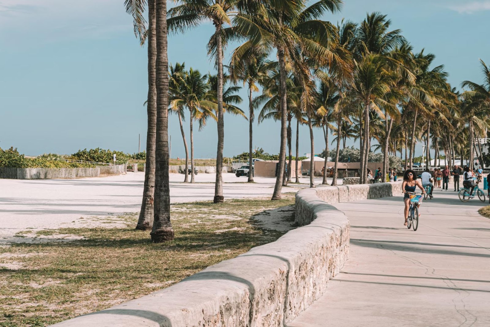 Miami Beach with palm trees and lady cycling