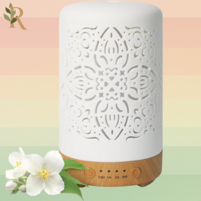 Earnest Living diffuser