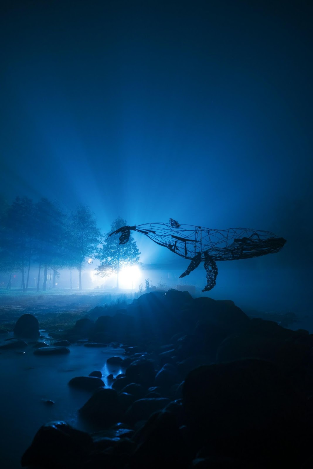 Dreaming of a whale may have significant meaning depending on how you feel about dream animals.