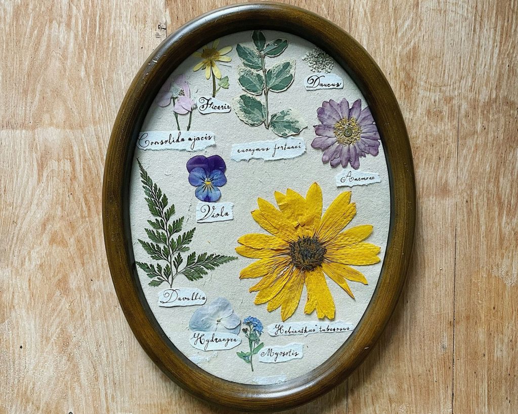 example of what to do with pressed flowers