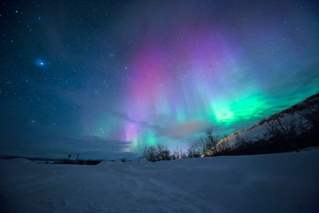 The northern lights shine pink, purple and green over a snowy landscape with a few hibernating trees. Stars dot the sky around the lights.