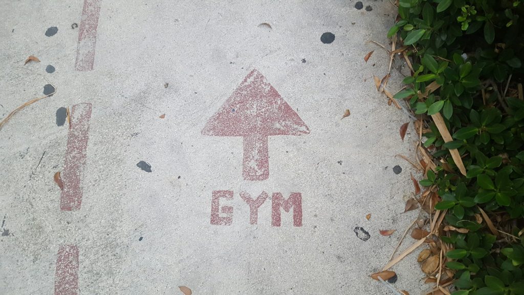 A concrete path with red lines sits next to green plants. A red arrow points upward on the path. Red lettering underneath the arrow says GYM.