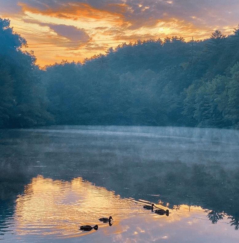 Two ducks float on a lake during sunrise. Mist rises from the water under a pink and orange sky.