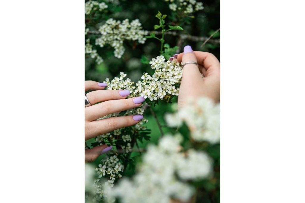 A hand with lilac nails holding a plant