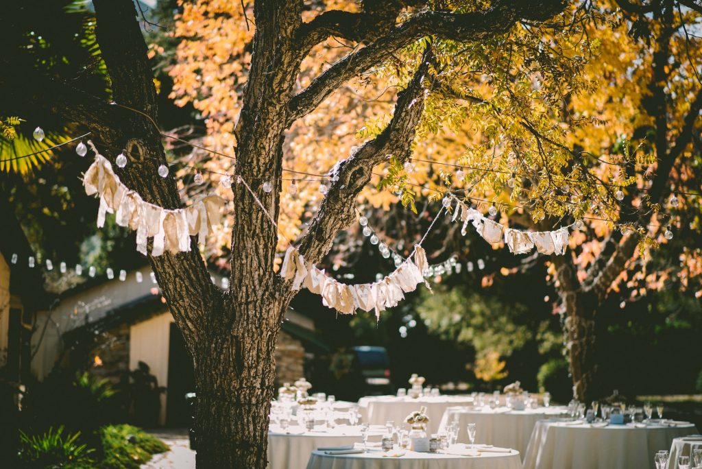 Lights and streamers hand from trees over wedding reception tables.
