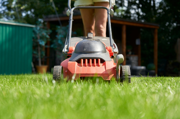 Think You Know How to Clean Your Yard? Do It Right in 7 Steps