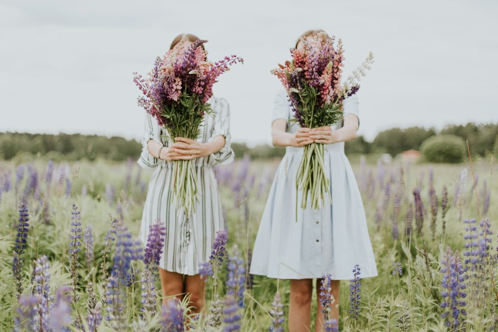 Lavender is a great option for cheap purple flowers for weddings.