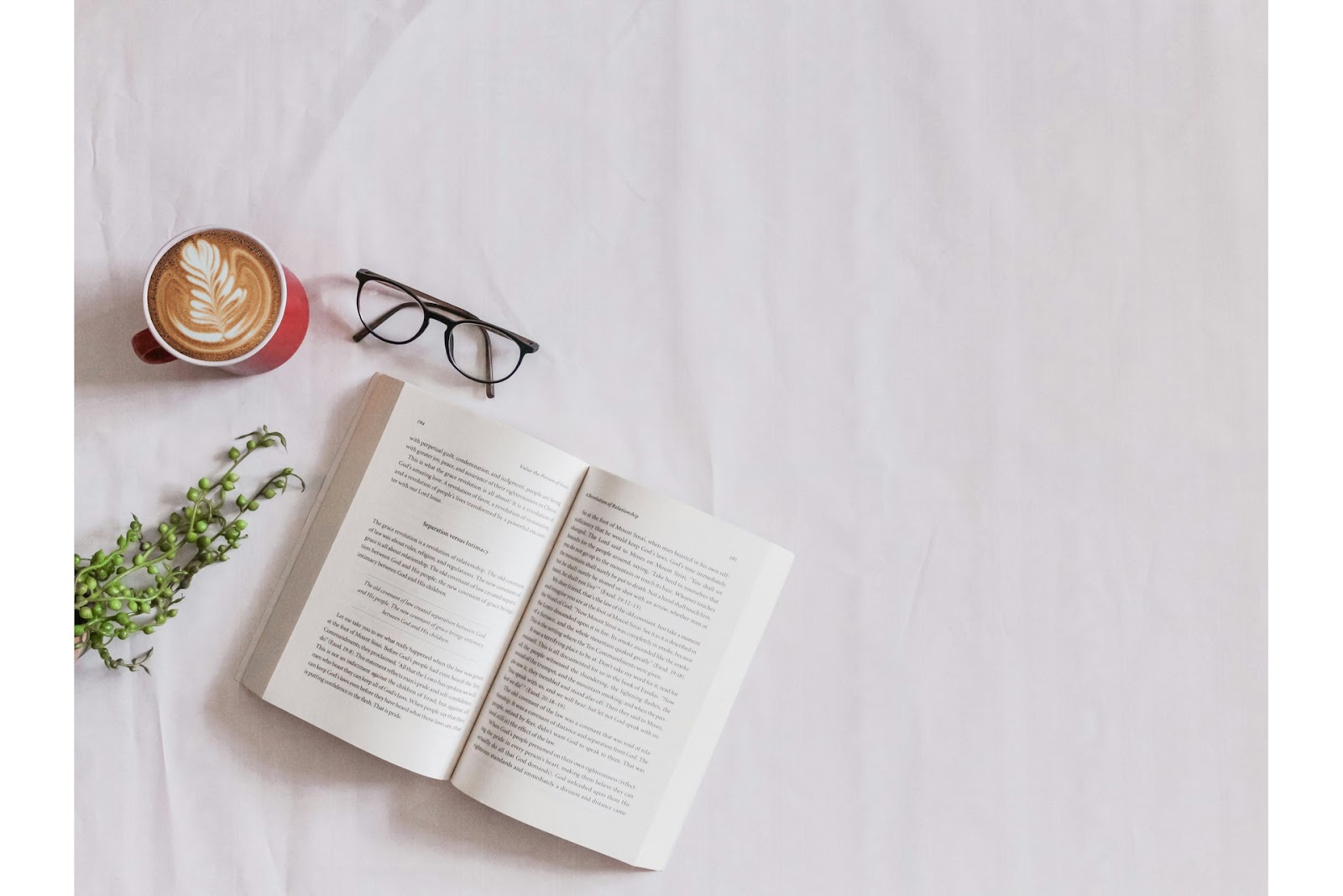 aesthetic open book
