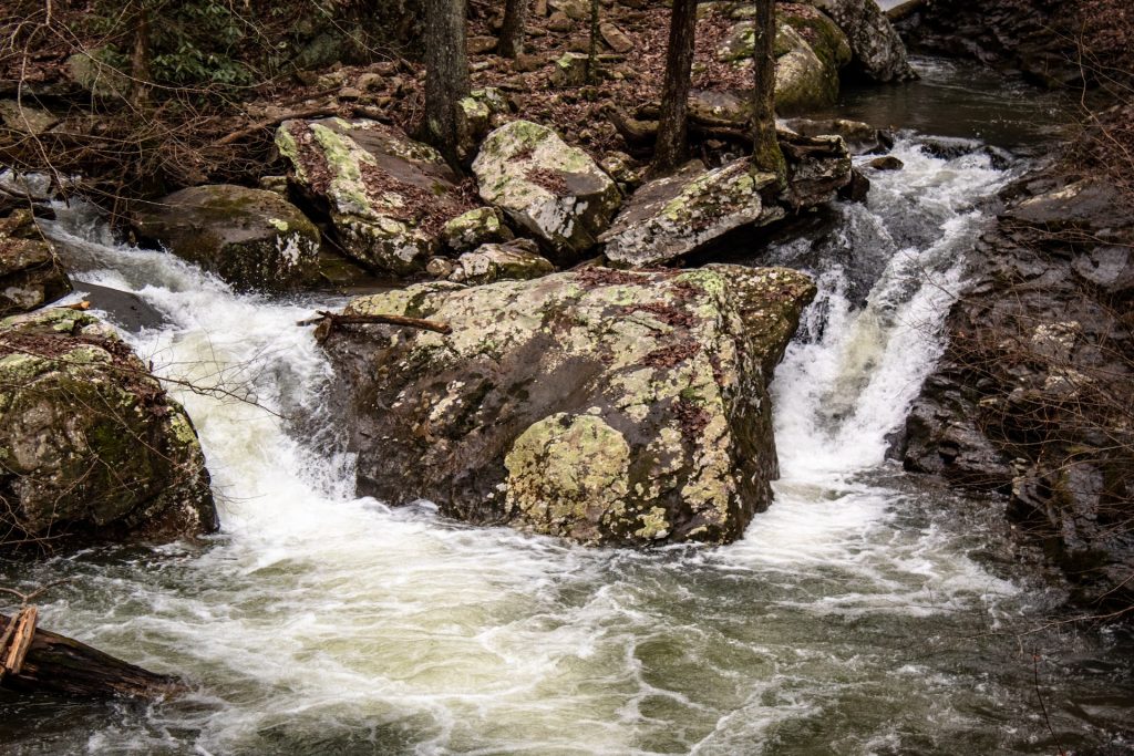 A creek in Cloudland Canyon State Park.