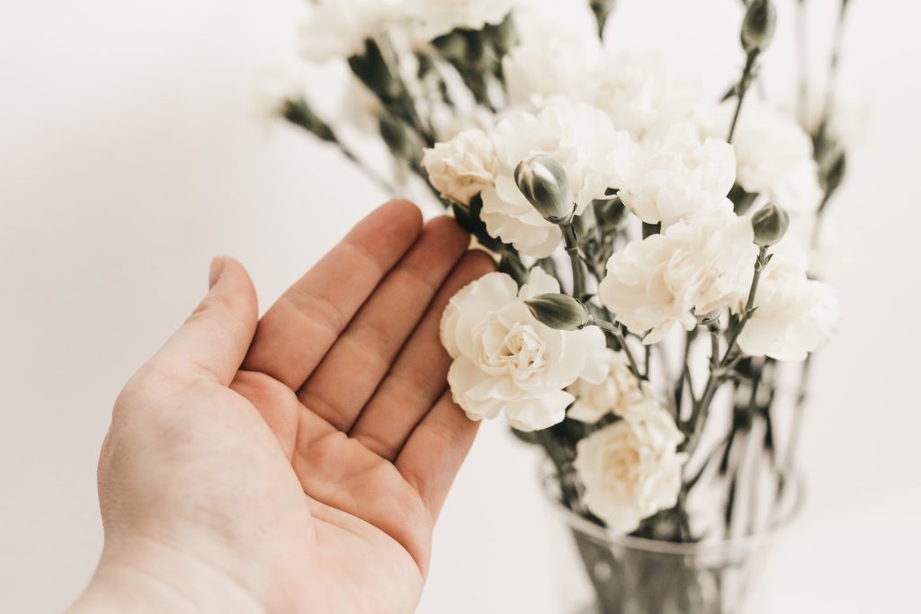White carnations in a vase.