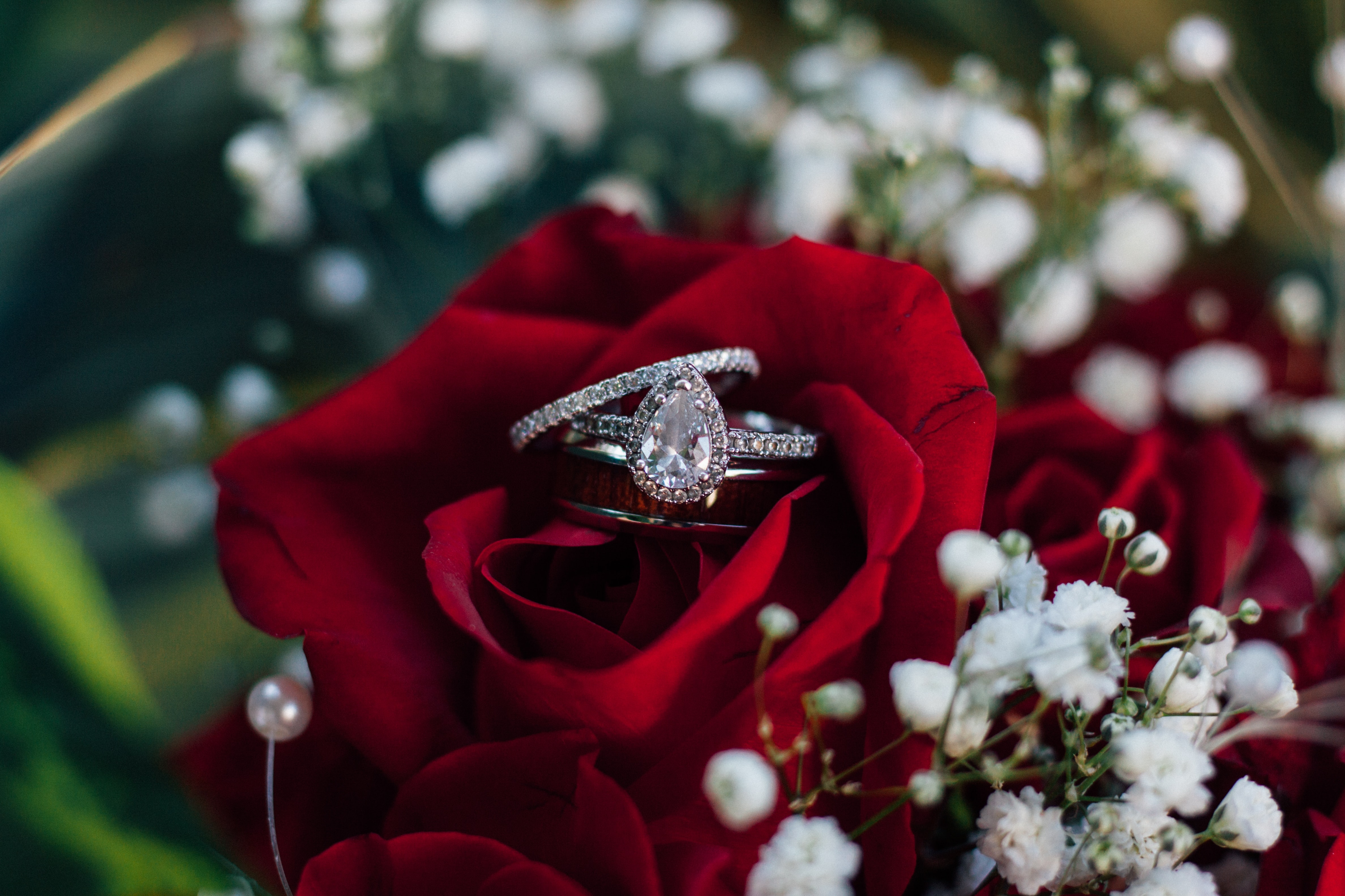A pear cut engagement ring sits on a rose.