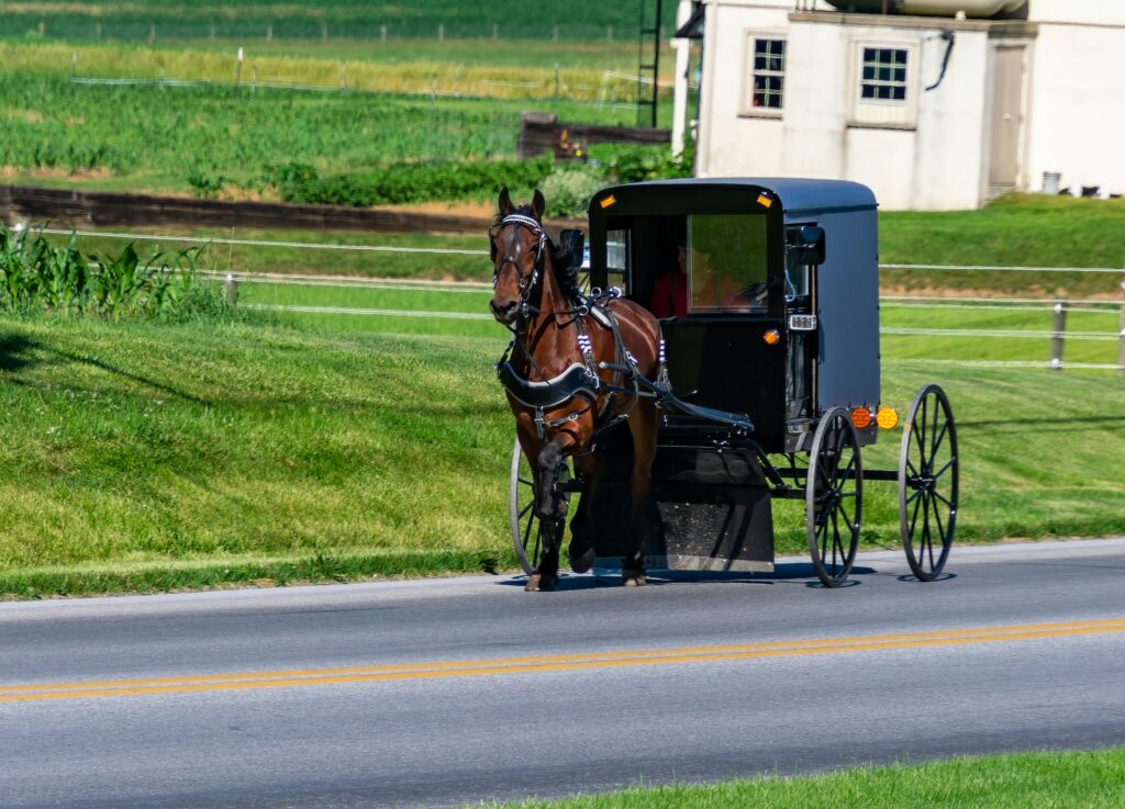 A horse and buggy in Lancaster County, PA.