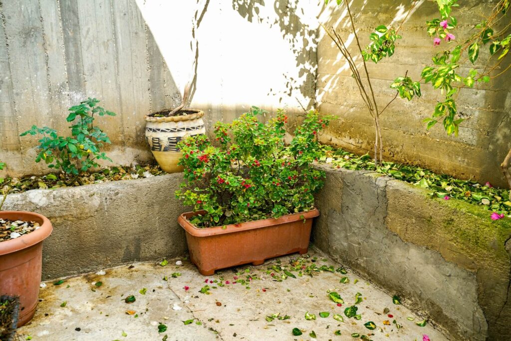Garden with on planter