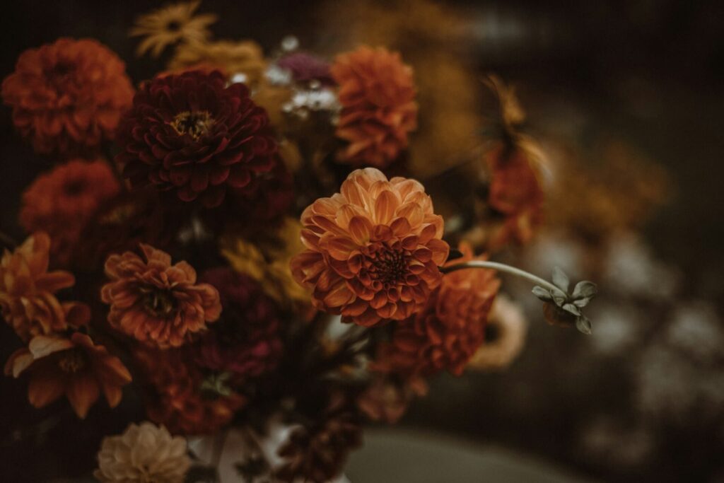 Close-up bouquet of deep red and orange dahlias with fall foliage accents