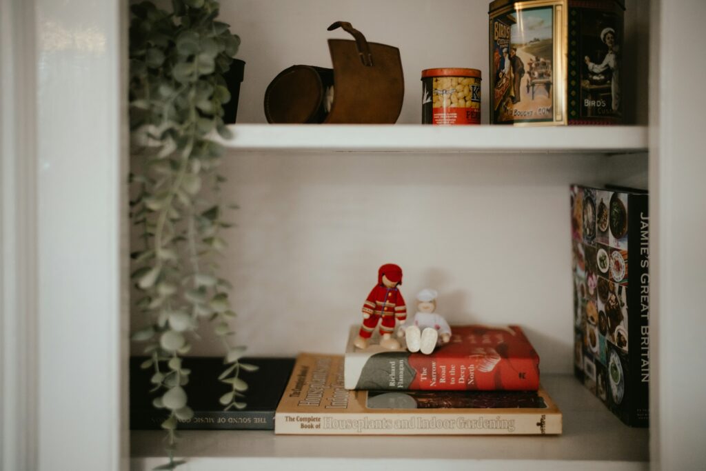 Hanging plants, books and knickknacks on white wooden shelves