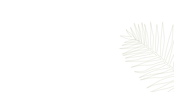 fern-bg fern-bg