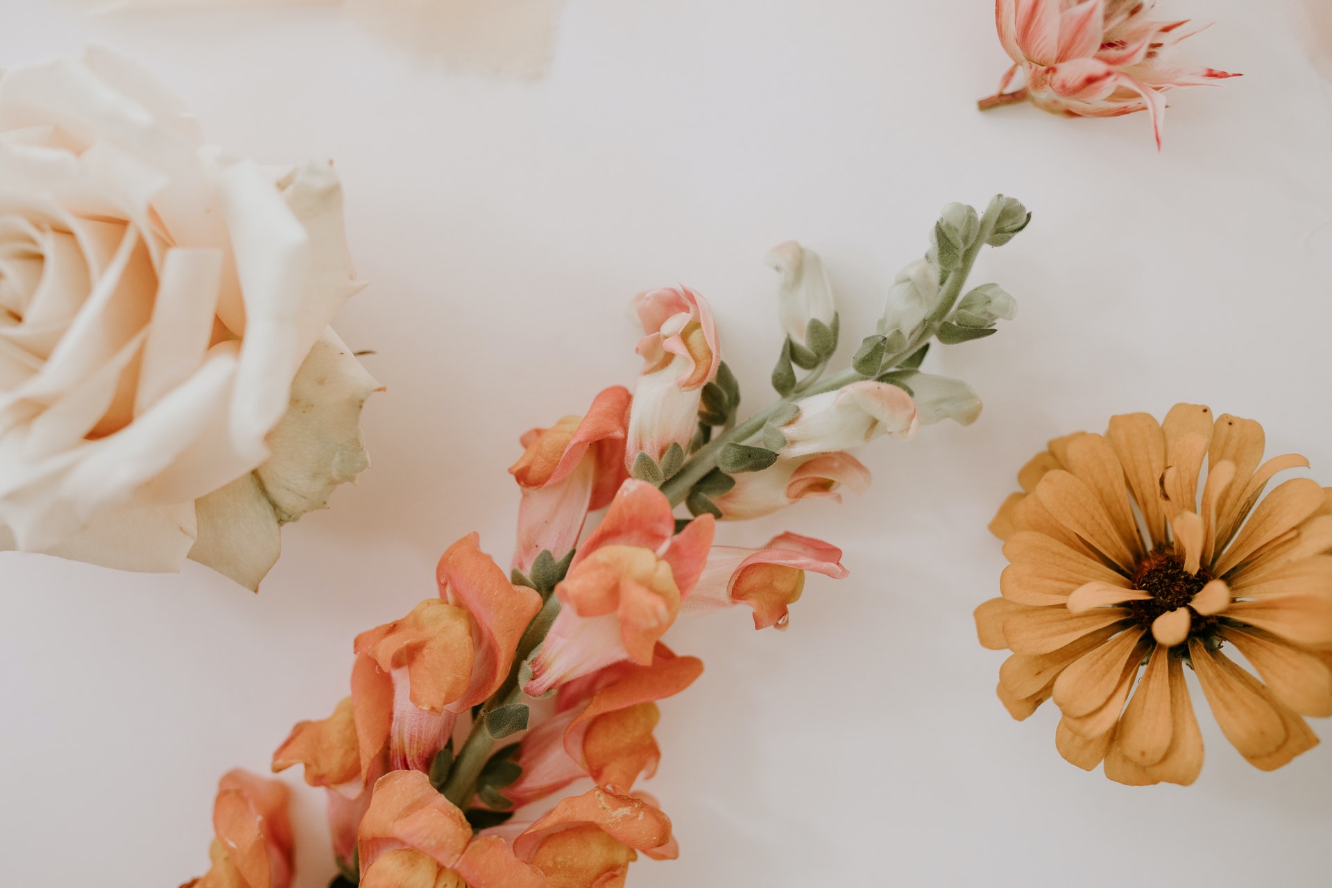 The Best Wedding Planning Apps for Brides wedding planning apps
