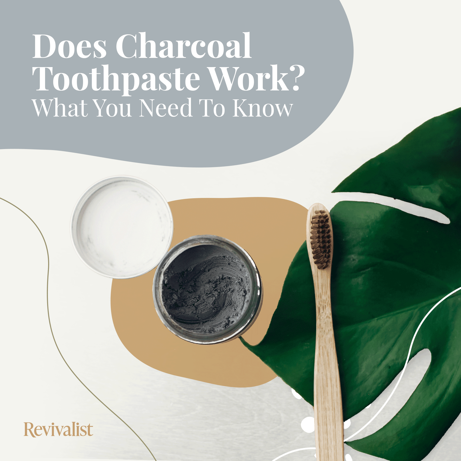 Does Charcoal Toothpaste Work? What You Need To Know Revivalist