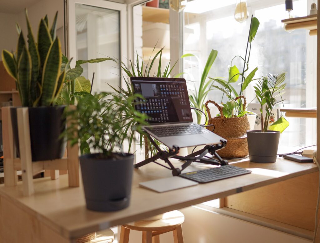 A laptop sits on a riser on top of a desk surrounded by plants.