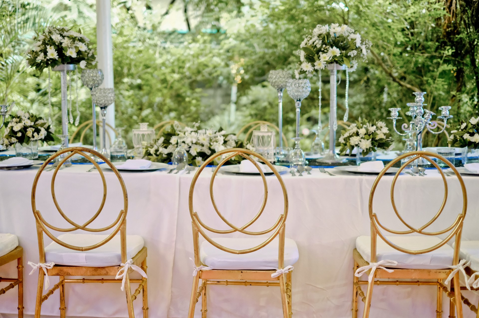 Fancy and Elegant Outdoor Wedding Reception