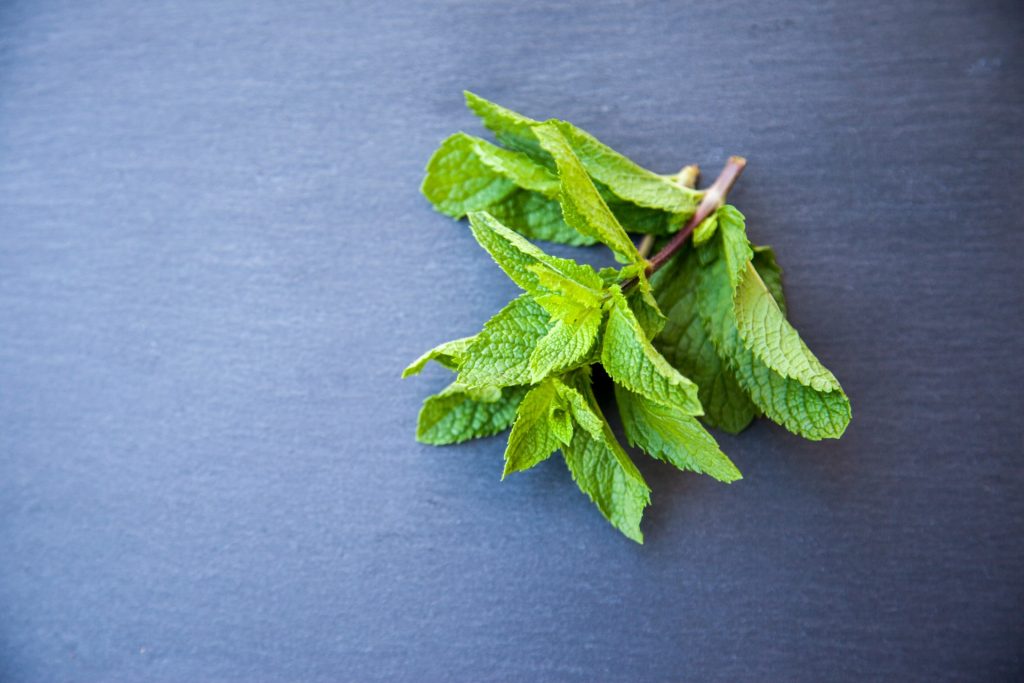 How to Make Your Own Peppermint Essential Oil Bug Spray Revivalist