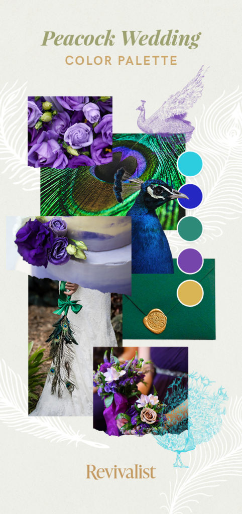A collage of photos displays colors of peacocks. 