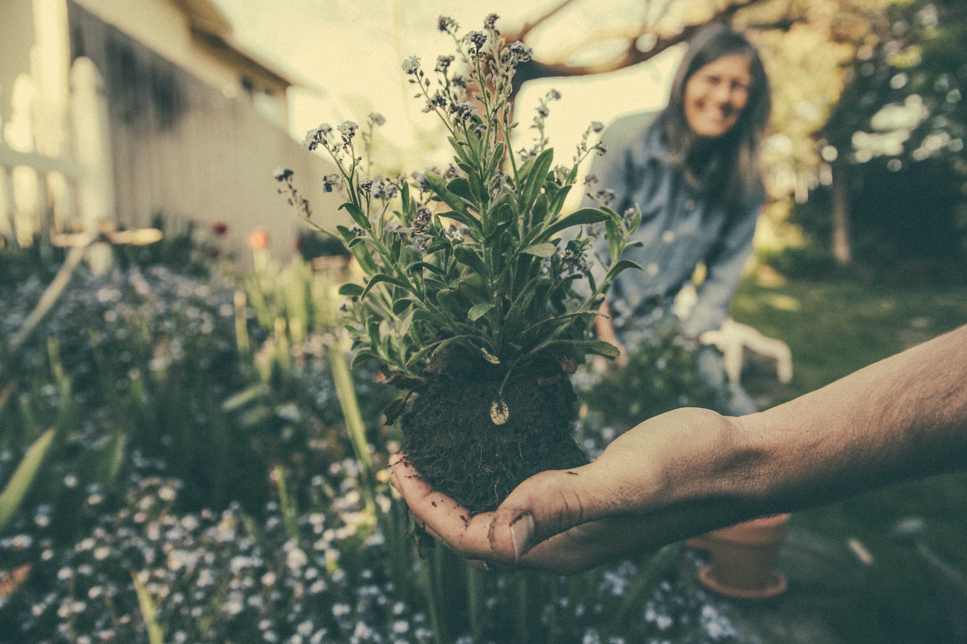 The Best Gardening Gifts for Women