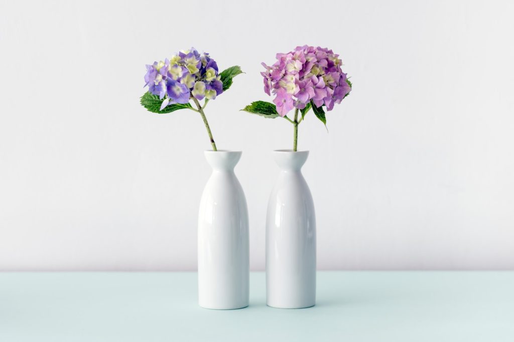 Pink and purple hydrangeas in white vases.