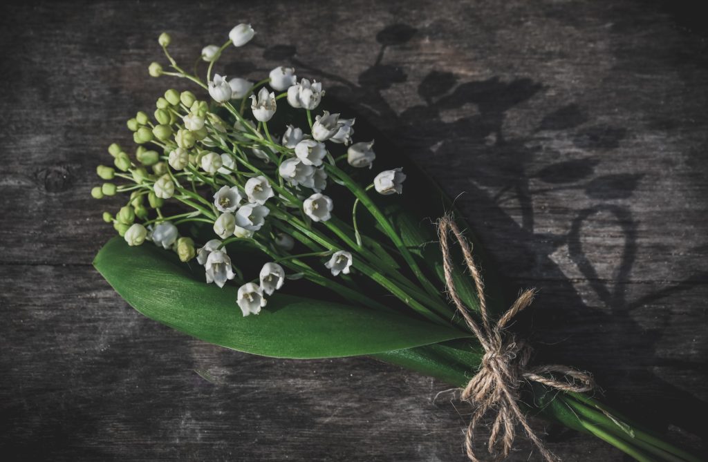 A bouquet of lily of the valley flowers.