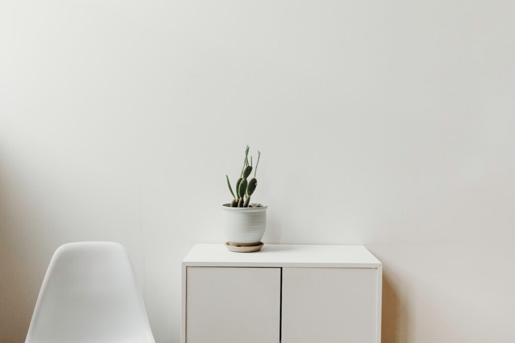 A potted plant sits on a white table in front of a white wall.