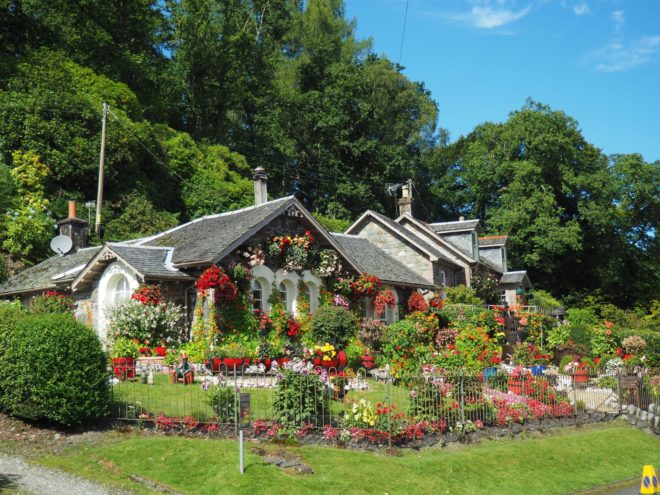 gardening 101 - a beautiful front garden