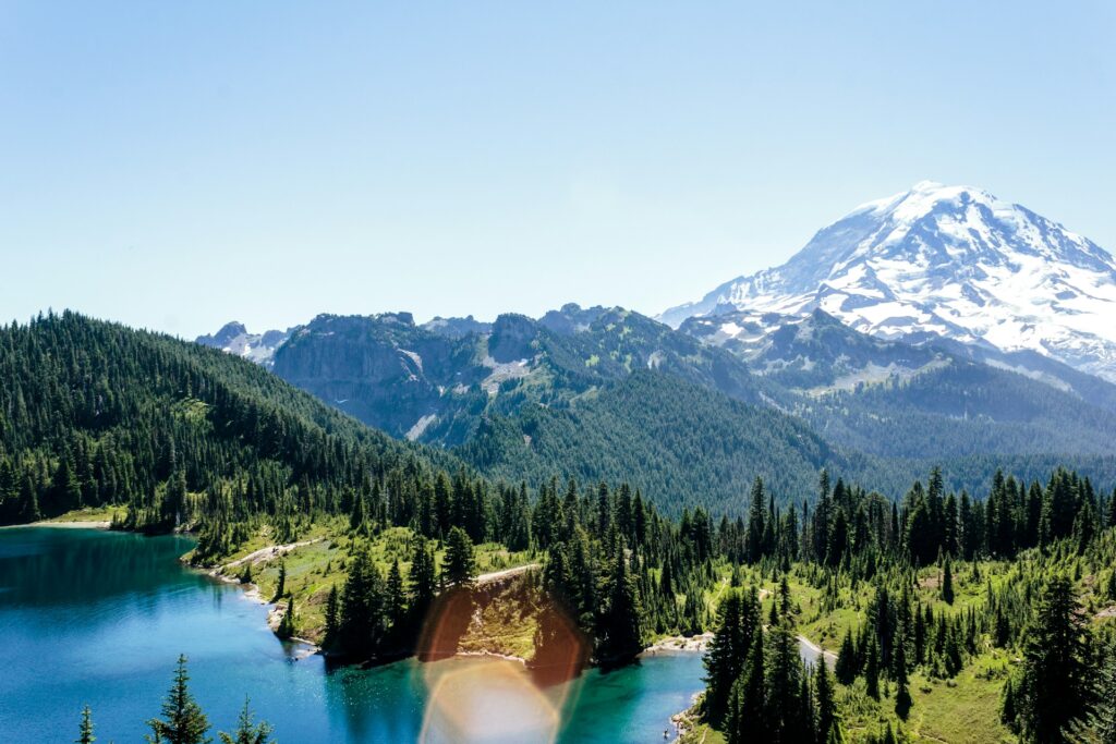 Mount Rainer National Park