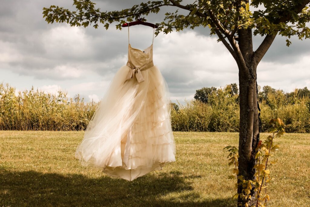 A gown with tiered layers hands from a tree. 