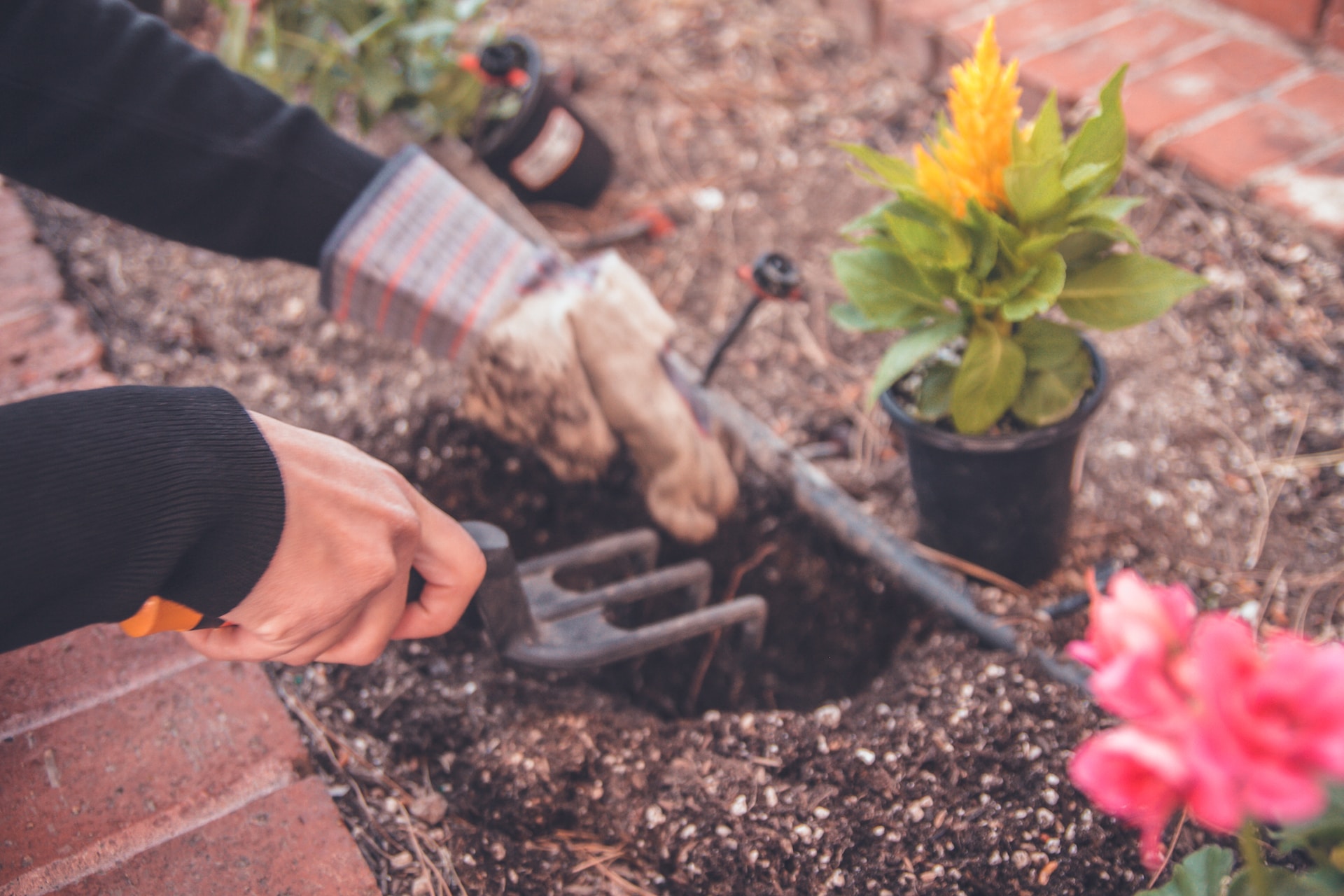 12 Budget Small Garden Ideas For Your Outdoor Space Revivalist