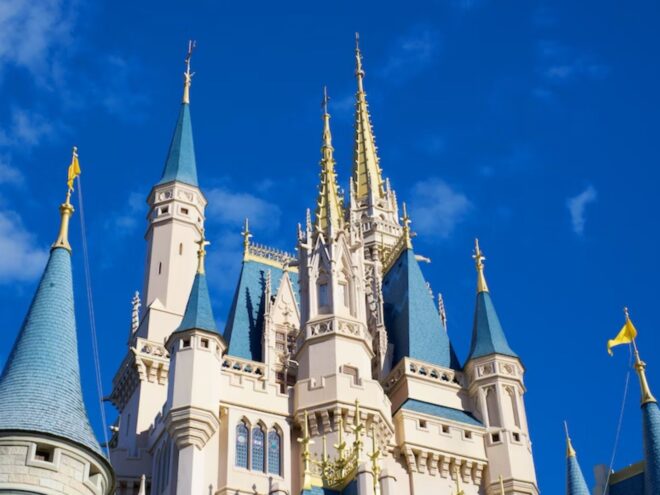How much does a Disney wedding cost? To tie the knot with this backdrop, an upward angle of Cinderella's Castle on a nearly-cloudless day, you'll have to pay a bit more than you would for other locations.