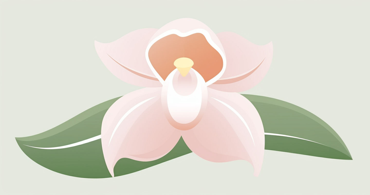 A pink orchid.