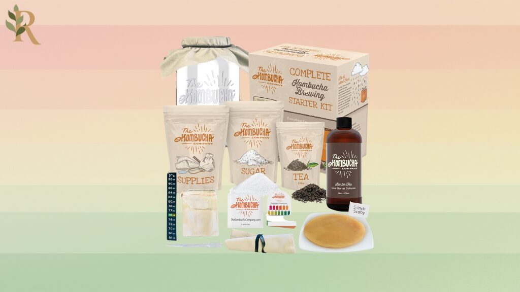 Kombucha brewing kit