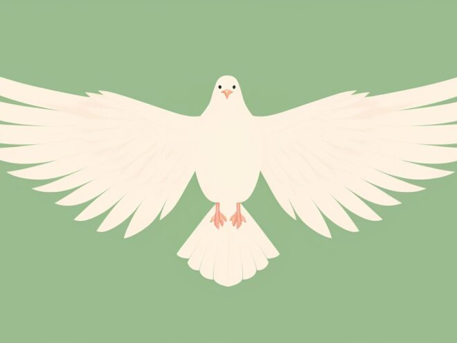 A white dove with its wings outstretched.