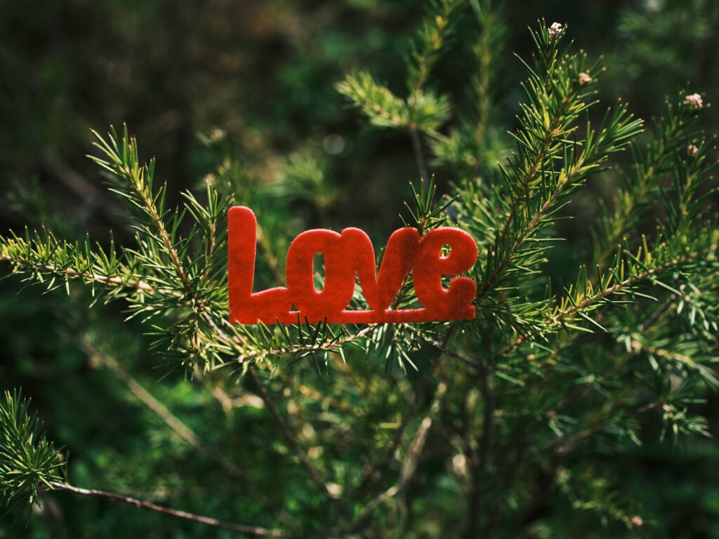 A red velvet ornamet that says "Love" sits among the fir branches of a Christmas tree.