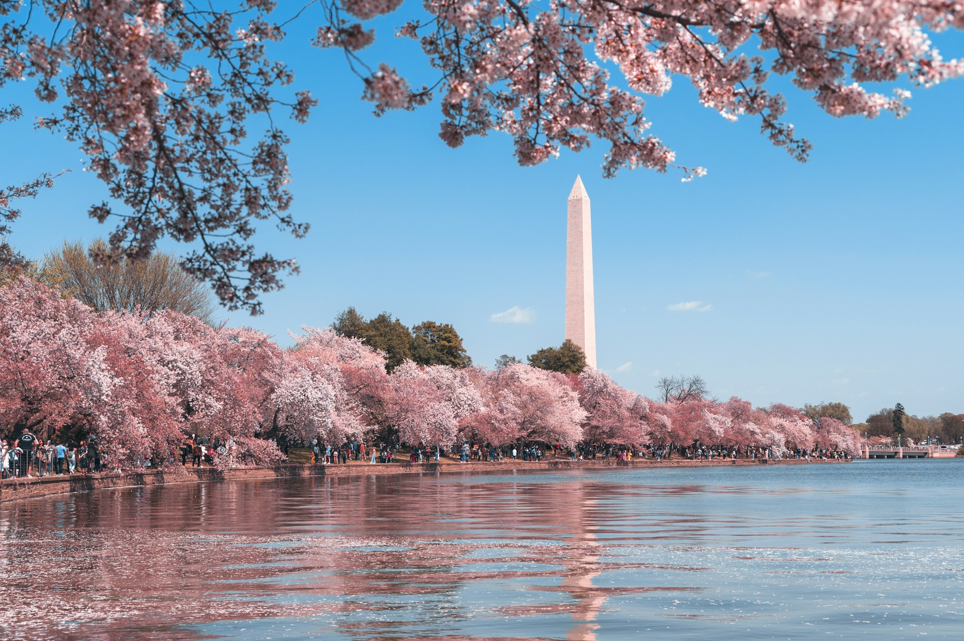 DC Travel Guide 1