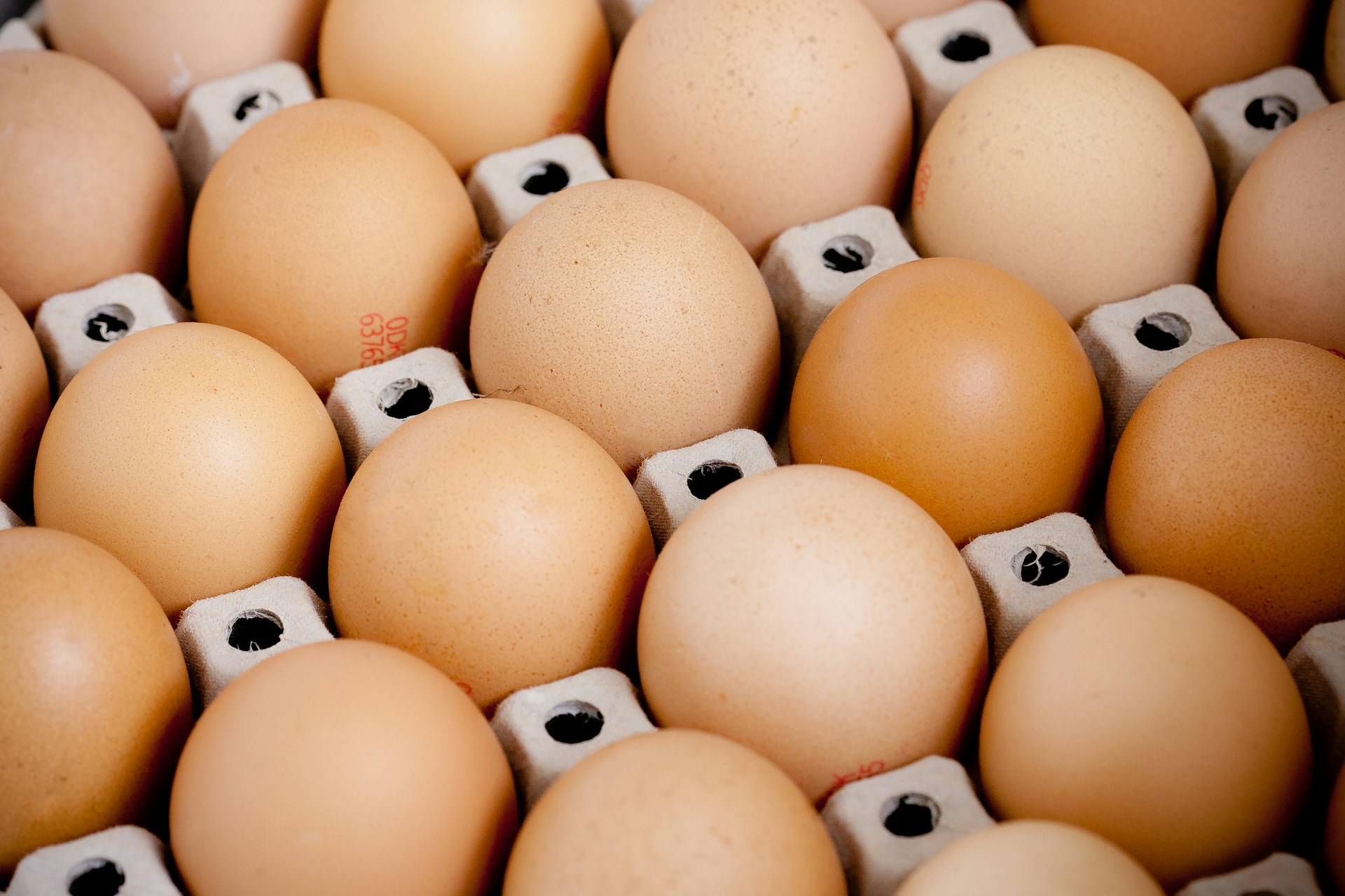 Egg Replacements for Baking 1