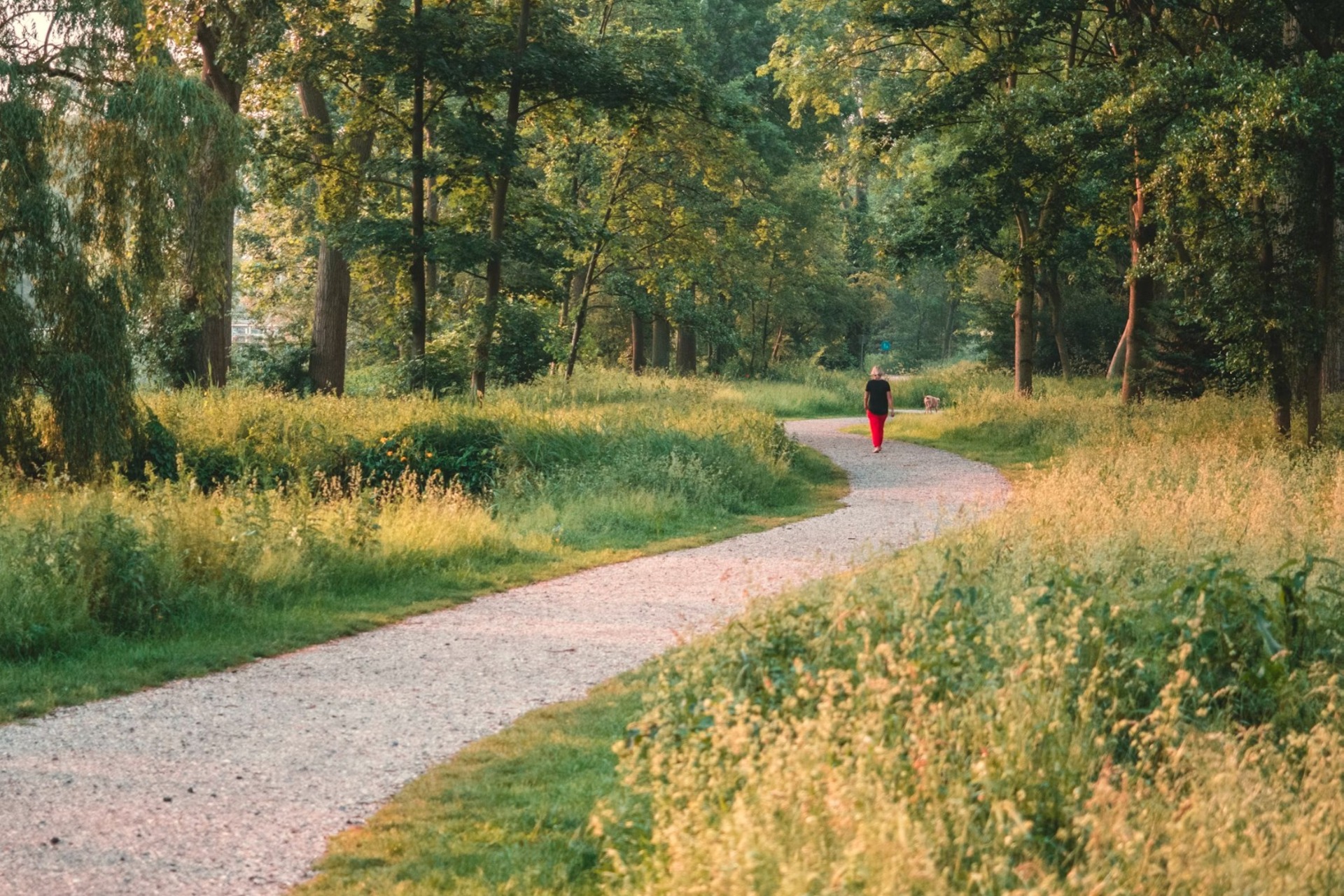 spring walking