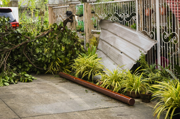 Identify things that need to be cleared out when cleaning your yard.