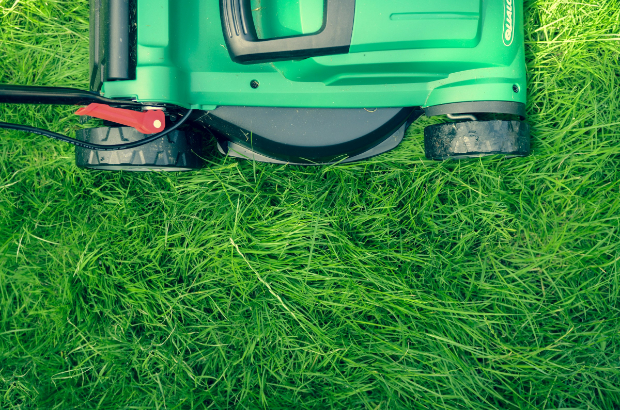 Mowing your lawn at the right height is the best start to your yard's life.